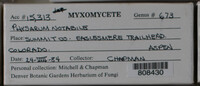 Image Associated With the Occurence